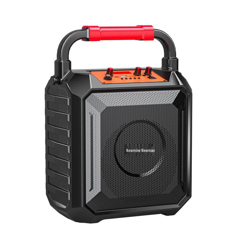 Newman K220 Portable Bluetooth KTV Speaker with Dual Microphones
