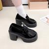 Small Leather Shoes Women's Spring and Autumn New Thick-soled Black Muffin Thick Heel One-pedal Single Shoes