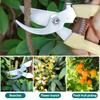 Stainless Steel Garden Pruning Shears Gardening Multi-functional Fruit Shears Fruit Picking Shears Garden Scissors Outdoor