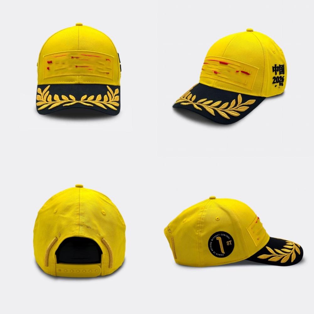 Customized 3d Embroidery Logo 6 Panel Cotton Men Unisex Blank Plain Gorras Fitted Snapback Hats Caps
