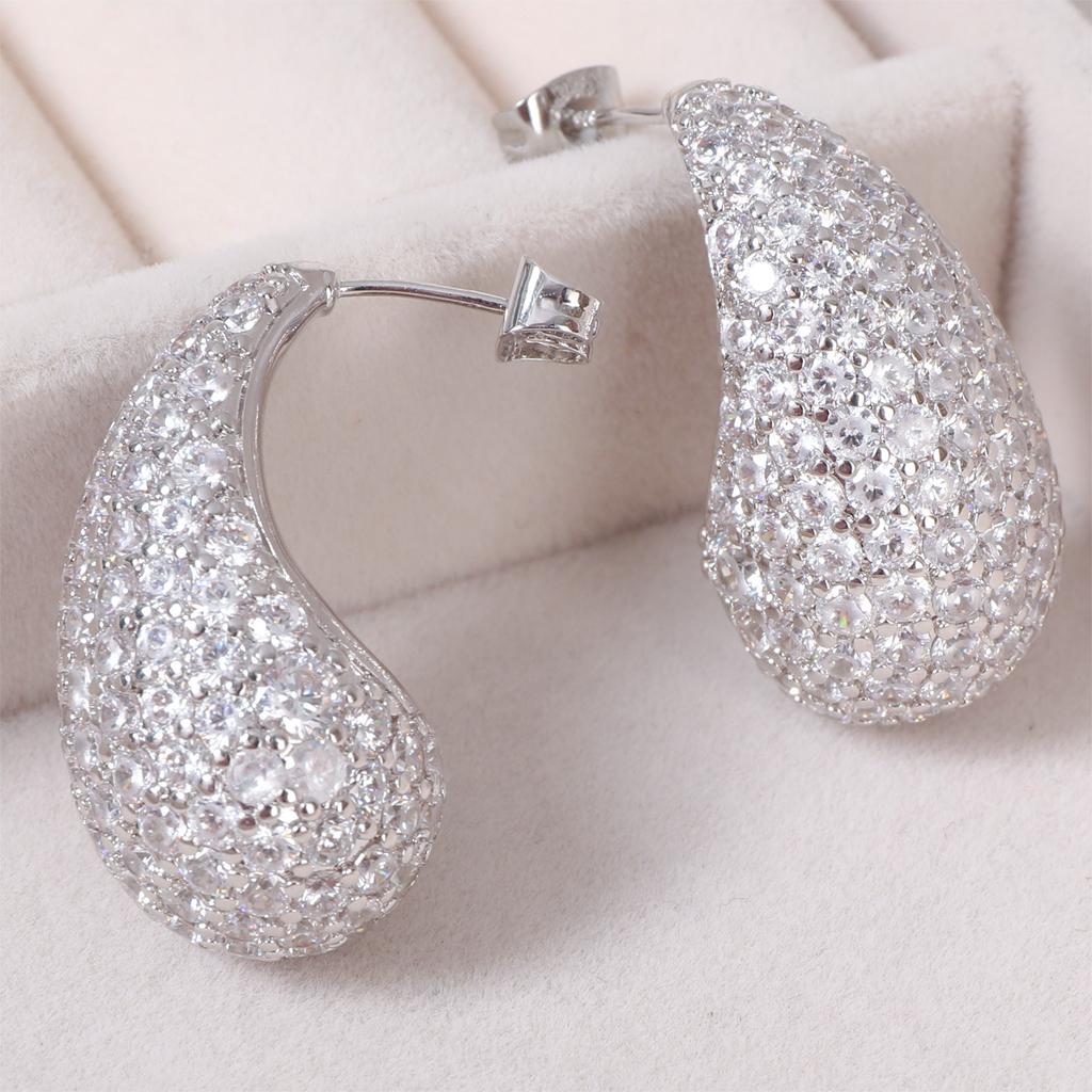 Micro-inlaid Diamond Zircon Water Drop Earrings for Women with Light Luxury High-end Hollow Earrings