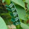 100Pcs Plant Clips Flower Stem Support Easy To Use Reusable Tomatoes Peppers Plant Vine Vegetable Fastening Clips Plant Benders