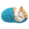 Sounds Sleeping Kitten Toy Slipper Sleeping Cat Simulation Sleeping Cats Mini Kittens in Shoes