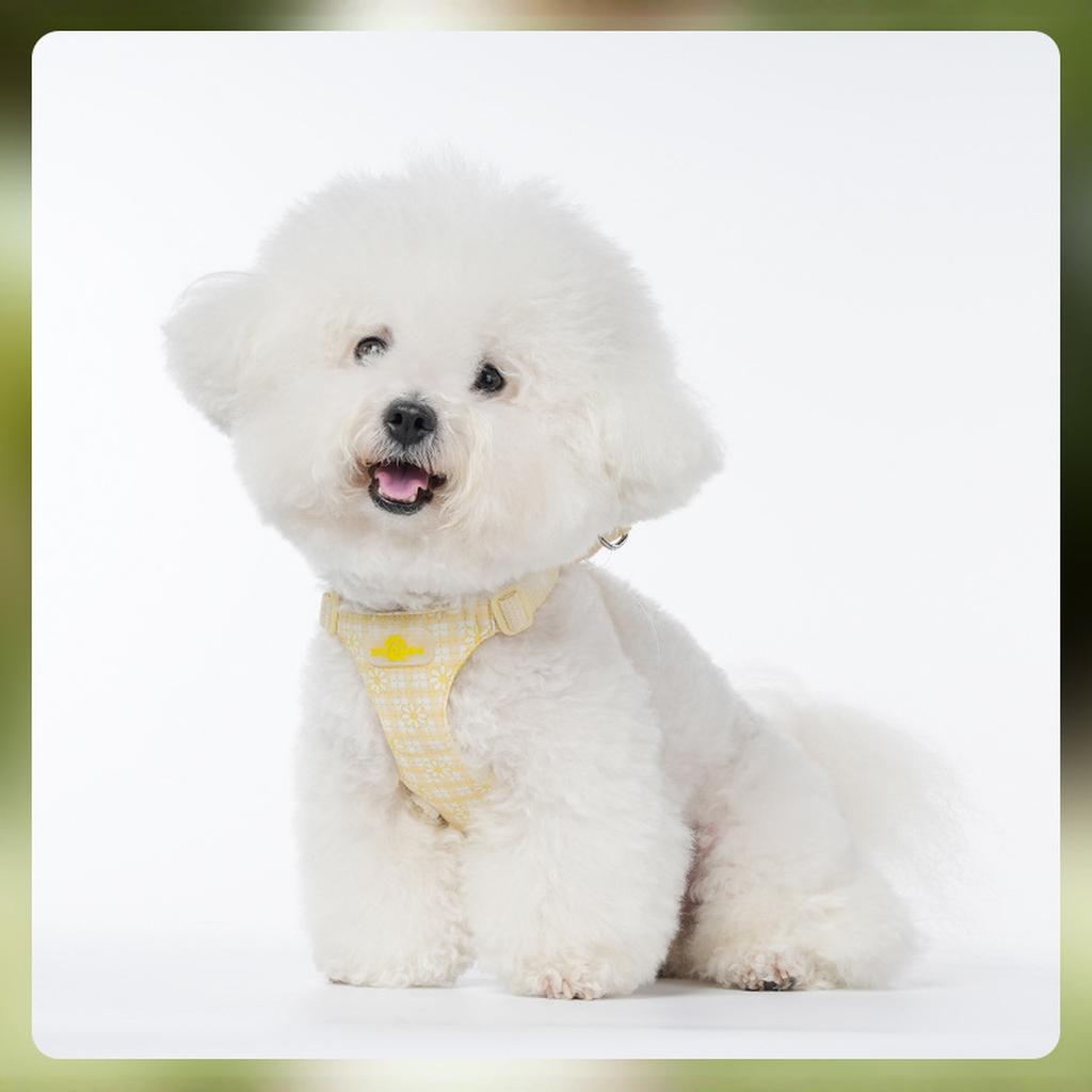 И Ко. Просто Собака Без Рывков - Размер Маленький - Жилет для Предотвращения Рывков и Легкой Прогулки - Удобное Средство для Обучения Поводку с