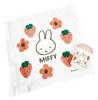 Miffy Hand Towel Case Set BW24-9