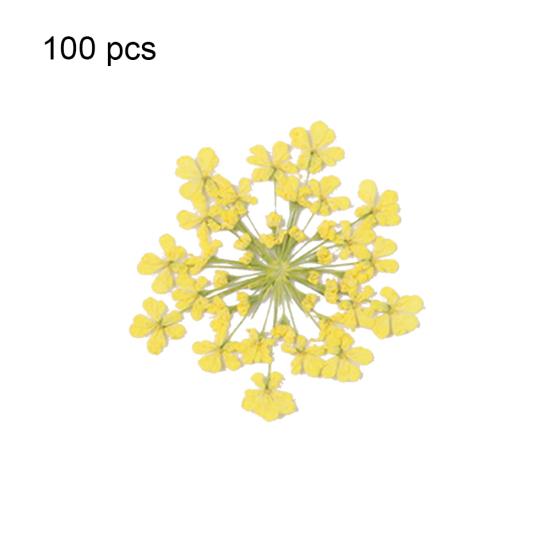 100шт прессованный сушеный цветок Ammi Majus из эпоксидной смолы для ногтей DIY Декор для телефона