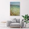 Canvas print, Grass on the dunes