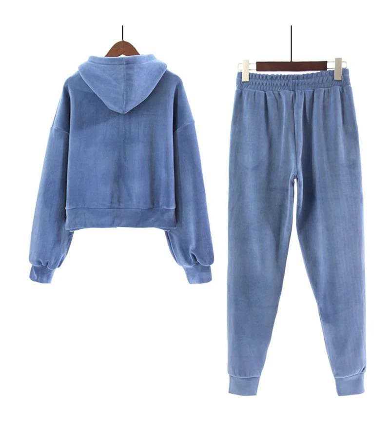 Korean Women Velvet Tracksuit 2 Piece Set Autumn Winter Thick Warm Casual Women's Suit Crop Hooded Zipper Sweatshirt