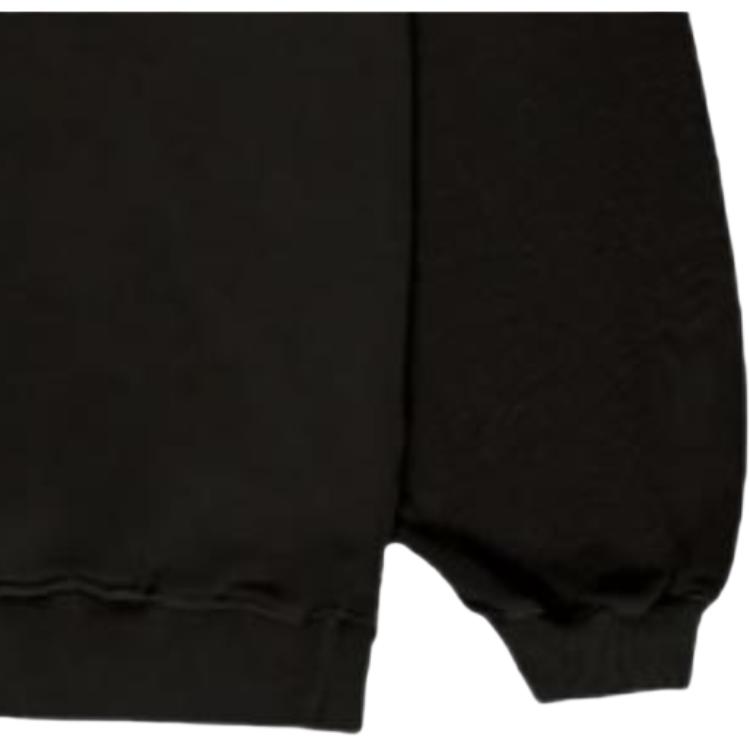 Stussy City Exclusive Sweatshirts Unisex Black Hooded (Non-detachable) Moderate 3923874