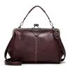 Bag Autumn and Winter New Messenger Bag Women's Simple and Versatile Retro College Style Clip Portable Shoulder Bag