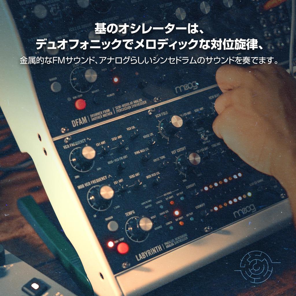 MOOG Labyrinth Parallel Generative Analog Synthesizer Dual Sequencer VC Wave Folder VC Filter Patchbay Semi-Modular