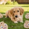 Bite Resistant Dog Elastic Ball Money Bag Shape Pet Interactive Ball  Interactive Play