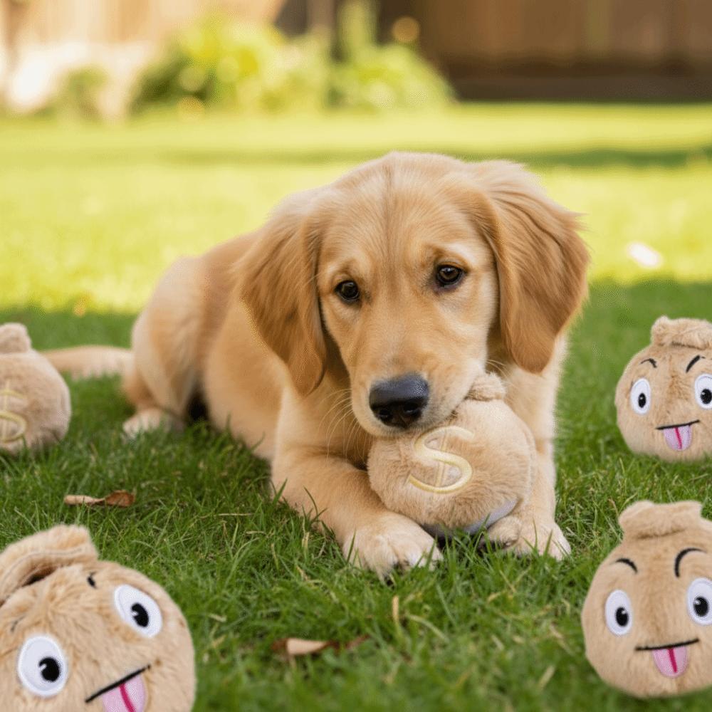 Bite Resistant Dog Elastic Ball Money Bag Shape Pet Interactive Ball Interactive Play