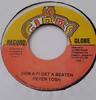 7-дюймовая пластинка PETER TOSH - Dem A Fi Get A Beaten NONE Joe Gibbs Recor Ямайка Регги, Ска и Даб Б/У