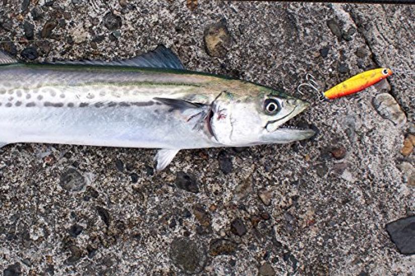 AbuGarcia Salty Style Light Shore Jigging SStyle LSJ Fishing Rod Fishing Rod Light Shore Jigging Rod STLS-1032ML