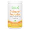 Collagen Peptides, Chocolate Flavor, 378G(13.33Oz)