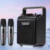 Edifier Портативная Bluetooth KTV колонка PP205S, штепсель CN (адаптер в комплекте)