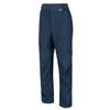 Regatta Mens Leesville II Zip-Off Trousers