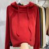 Padded Hoodie Female Warm Thick Large Size Loose Autumn Winter Solid Color Sweater Casual Tops
