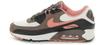 Кроссовки Air Max 90 (DM0029-105) саммит белый/железный камень/черный/красная звездная пыль