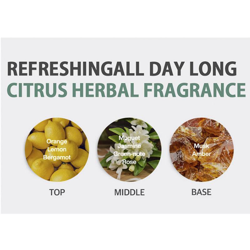 Доктор. Для волос Phytofresh Шампунь для жирной кожи головы – Корейское глубокое очищение и освежающий уход 500 мл