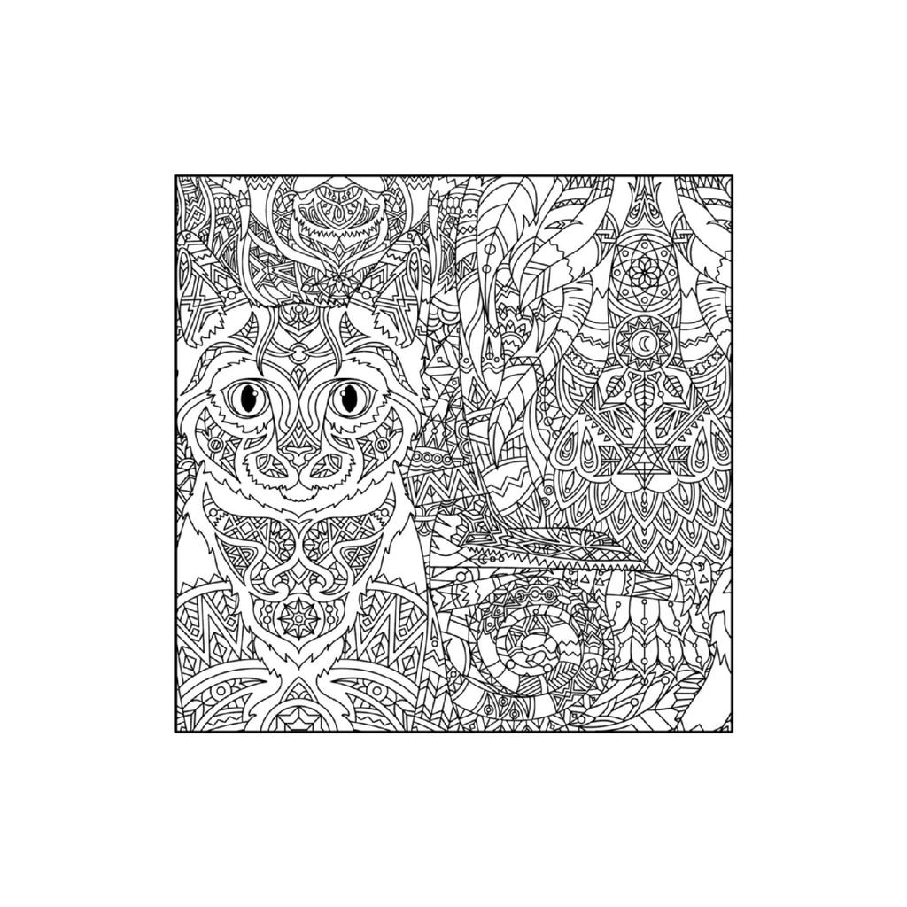 Книжка-раскраска Мандала с животными и узорами для взрослых-1