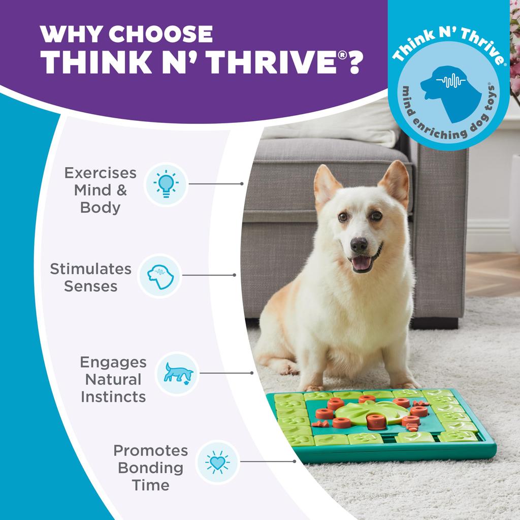 Outward Hound Nina Ottosson Multi PTOT696631 Зеленый пазл/синий