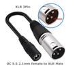 DC 5.5x2.1mm Female Power Cable Adapter to M12 M16 3Pin XLR RCA 8.0x1.6 5.5x2.5 IEC C13 for E-Bike Scooter Charger Accessories