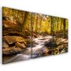 Three Piece Picture Canvas Print Autumn Forest Mountain Stream