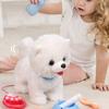 1 Set Kids Electronic Plush Dog Toy with Pet Care Accessories Walking Interactive Puppy Rabbit Cat Plushie Toy Toddlers Educational Animal Toy