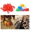 100Pcs 001-100 Numbered Poultry Chickens Ducks Leg Bands Rings Birds Tools
