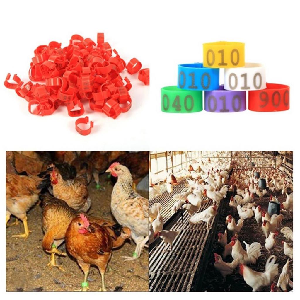 100Pcs 001-100 Numbered Poultry Chickens Ducks Leg Bands Rings Birds Tools