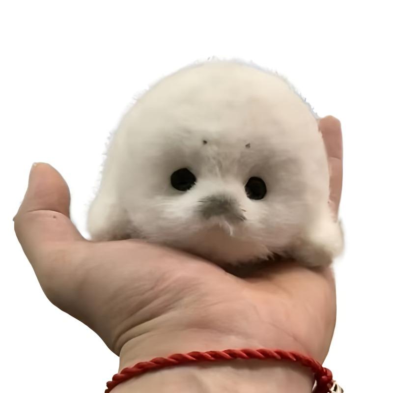 Мягкий плюшевый брелок в виде серого тюленя, белые плюшевые тюлени, подвеска в виде животного, модная мягкая кукла, брелок для ключей, аксессуары для ключей от машины, украшения для автомобиля