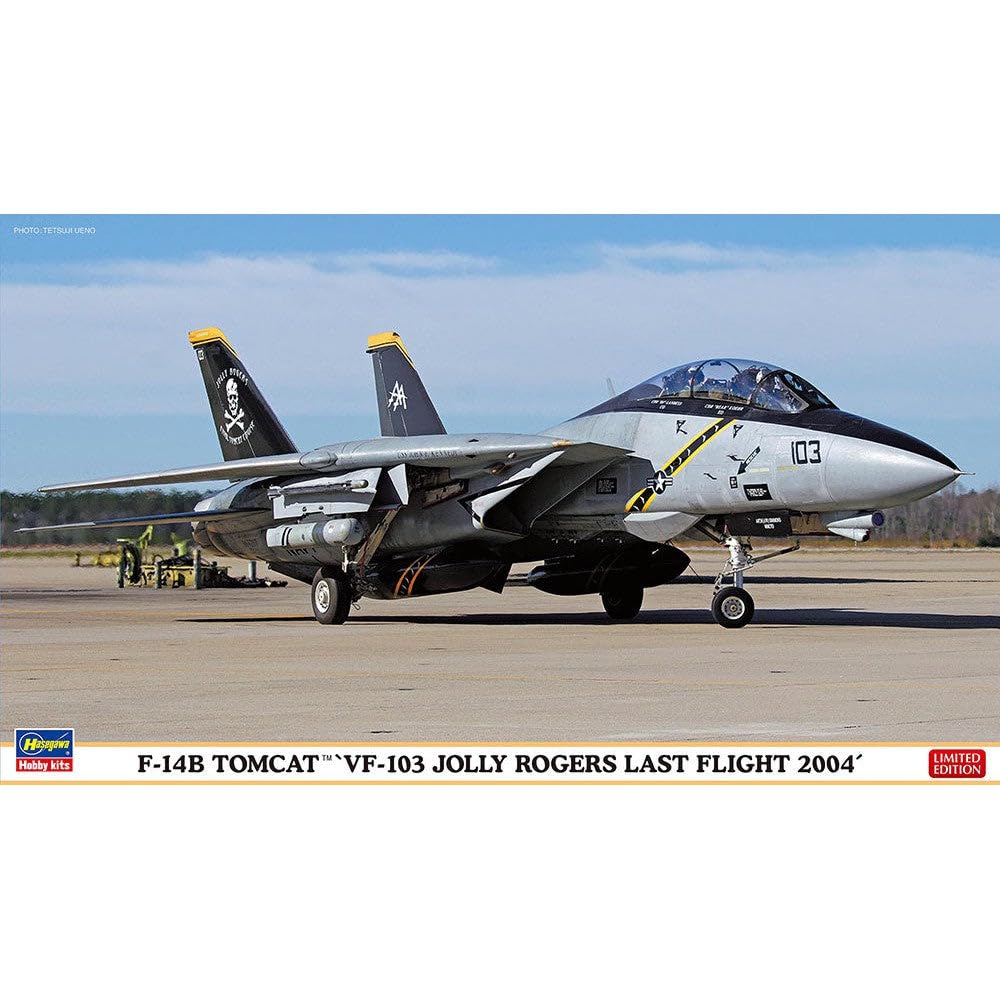 Hasegawa US Navy Tomcat Jolly Rogers Last Flight Plastic Model 02434 1/72 F-14B VF-103