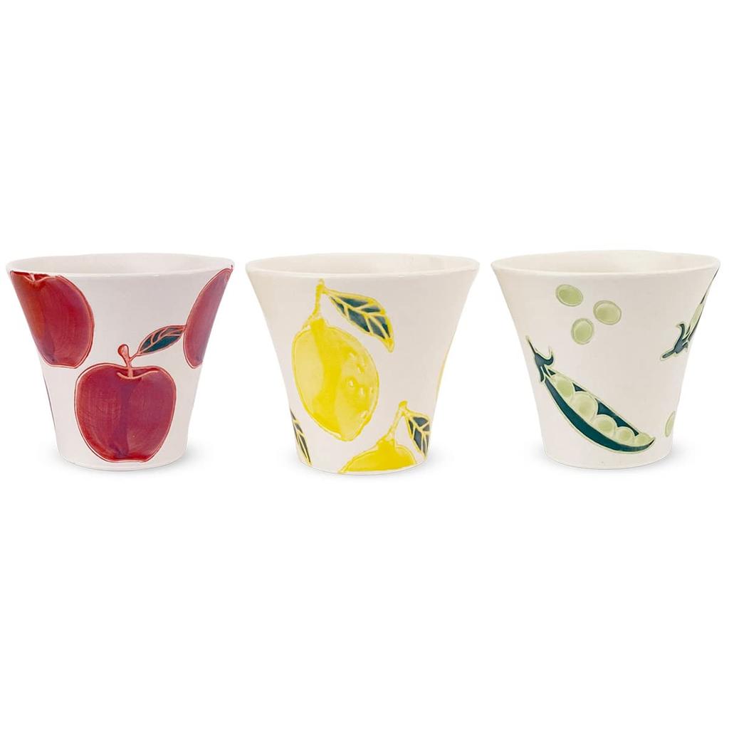 Kobo Sho Fresh Art Shintan Sencha Tea Set of 3 Hasami Made In Japan J-kitchens (Apple, Lemon, Bean) Ware,