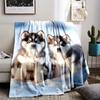 Design pattern of a husky puppy Flannel printed blanket suitable for all seasons suitable for living room office sofa and travel