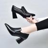 Fashion Spring and Autumn New Thick Heeled Women Shoes Fashion Black Pointed Toe Comfortable Shallow Mouth Slip On Pumps Single Shoes