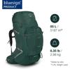 Рюкзак Osprey Aether Plus 85 axo green (Herren)