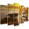 Картина из пяти частей, печать на холсте, африканский лев, африканский пейзаж саванны