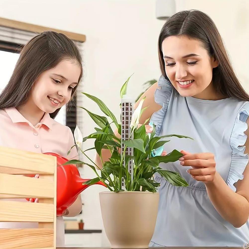 Моховые опоры для растений Пластиковые прозрачные многоразовые комнатные горшечные палки для выращивания вьющихся растений для роста вверх для сада