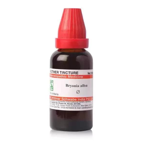 @ Dr Willmar Schwabe India Bryonia Alba Mother Tincture Q 30ML UK343 50%OFF