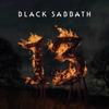 13 [Аналоговый]