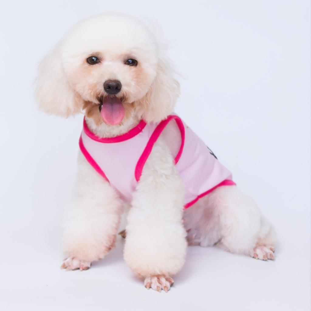 Dog Summer T-Shirts Vest,Costume Crown Basic Clothes for Small Medium Larg Boy Girl Dogs Cat Kitten Girls Boys Apparel