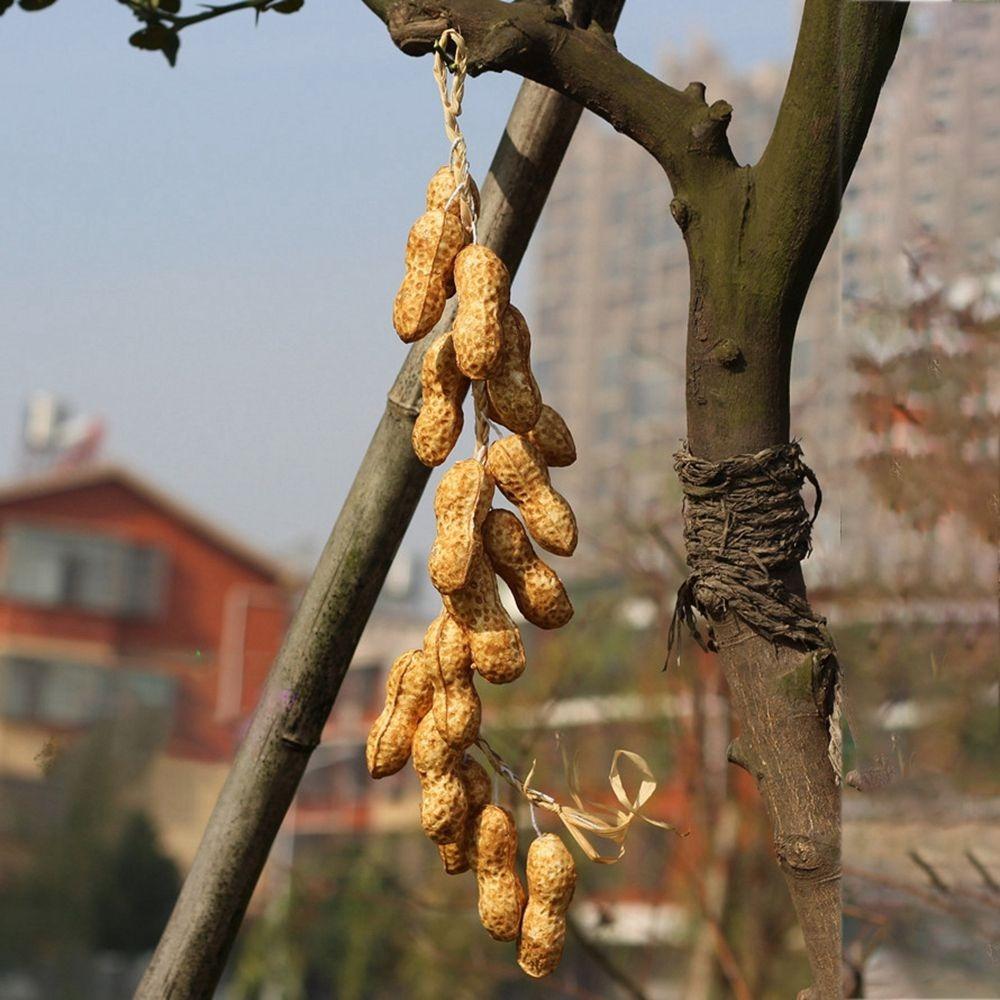 Искусственные Декоративные Фрукты Реалистичная Пена Блюдо Лук Чеснок Кукуруза Красный Перец Кухонное Украшение Для Китайского Стиля
