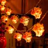 LED String Lights for New Year & Spring Festival - Colorful Hanging Decorations for Garden, Trees, and Balconies