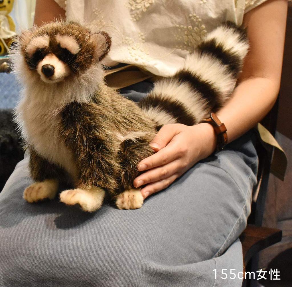 BH4248 HANSA Raccoon 25