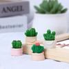 Creative Moss Miniature Artificial Cactus Cartoon Style Resin Garden Decor Piece