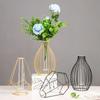 Nordic Styles Hydroponic Flower Vase Geometric Line Frame Iron Art Vase Glass Test Tube Metal Holder Home Decoration Craft Gift