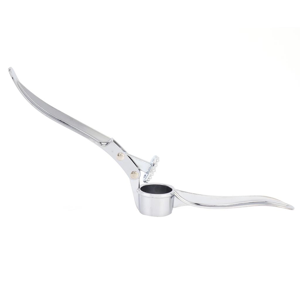 Пресс для чеснока из нержавеющей стали, профессиональная, легкоочищаемая, измельчитель чеснока для домашней кухни