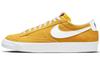 Blazer Low 77 Желтый DA7254-700